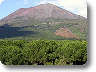 Vesuvio National Park