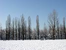 Le Parc en hiver