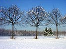 Le Parc en hiver