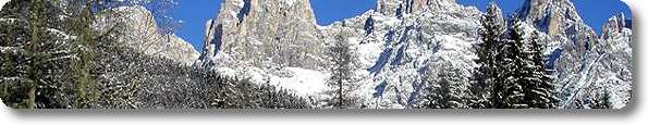 Immagine di apertura Parco Naturale Paneveggio - Pale di San Martino