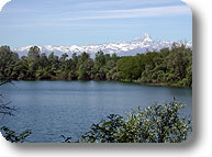 Po Morto Nature Sanctuary in Carignano