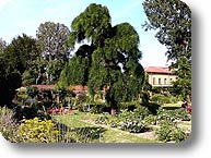 L'Orto Botanico di Torino