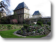 Scorcio dell'Orto Botanico con il Castello del Valentino