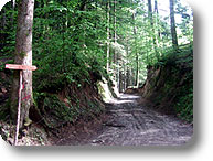 Frassati Trail