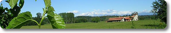 Immagine di apertura Parco Naturale Valle del Ticino