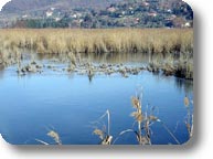 Lago Trasimeno