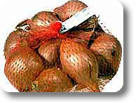 Romagna Shallot PGI