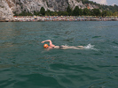 1° Traversata a nuoto del Golfo di Trieste