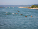 1° Traversata a nuoto del Golfo di Trieste