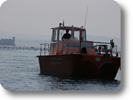 1° Traversata a nuoto del Golfo di Trieste