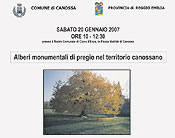 Alberi Monumentali di pregio nel territorio canossano