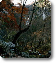 The Waterfall of Zompo lo Schioppo