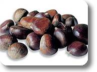 chestnuts