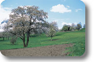 Landschaftspark Binntal