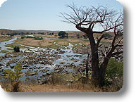 Ruaha National Park