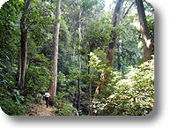 Sanje Waterfalls Trail